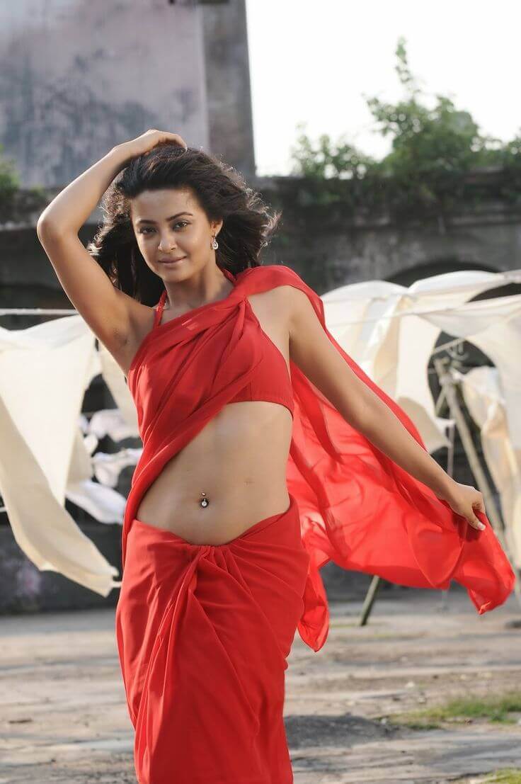 surveen chawla sexy navel show in red saree 