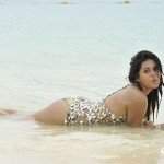Shraddha-das-bikini-hd-wallpapers