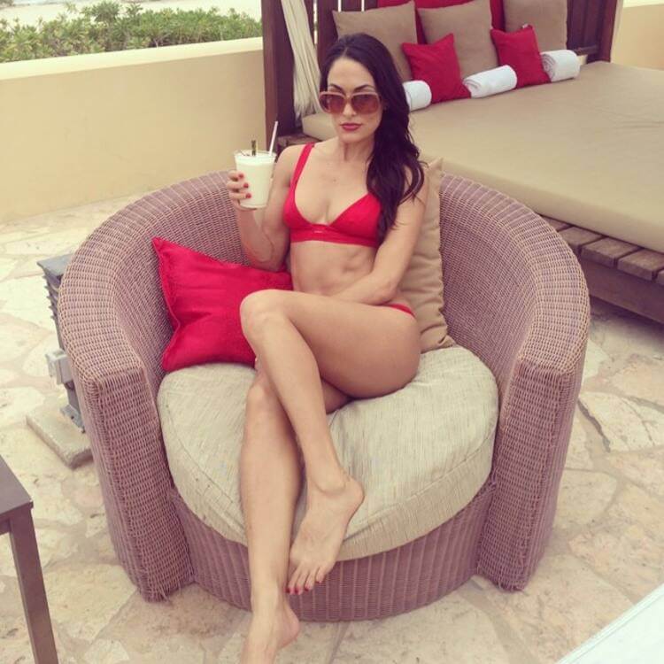 sexy-butt-pictures-of-brie-bella