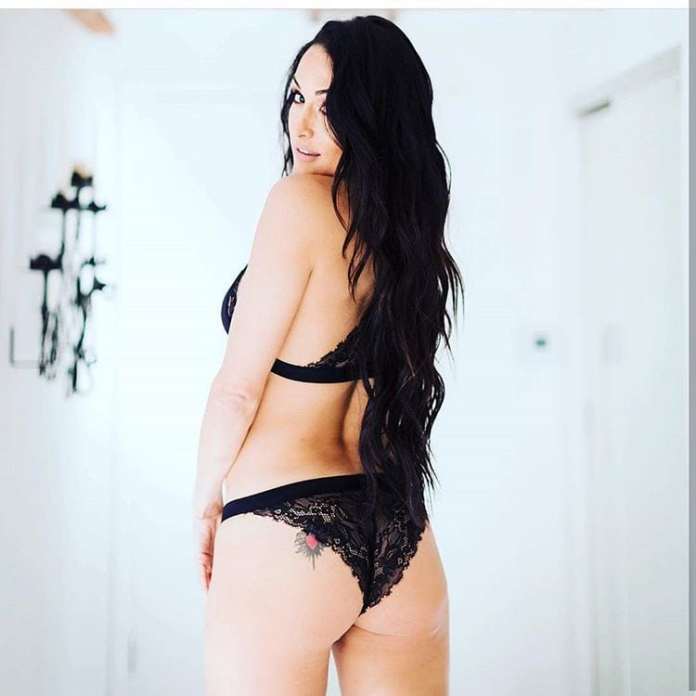 sexy-butt-pictures-of-nikki-bella-toned-ass