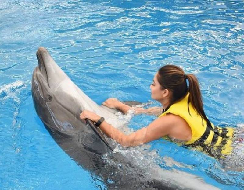 krystle-dsouza-having-fun-with-dolphin-wearing-bikini
